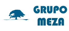 CAMPUS GRUPO MEZA